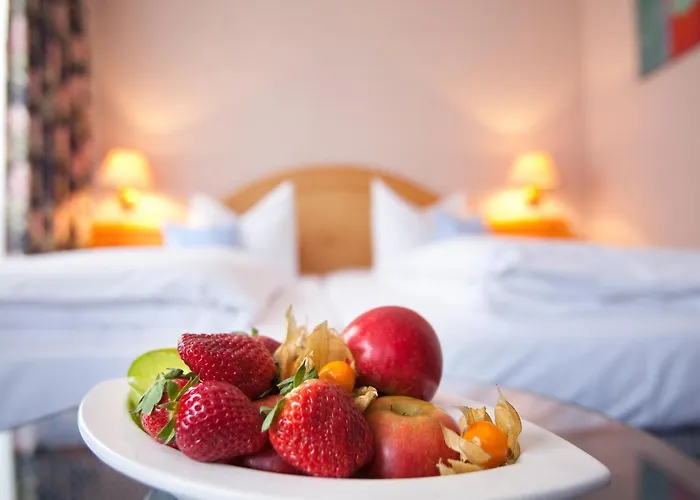 Hotel Kress Bad Soden-Salmuenster